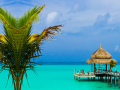 Laro Tropical Paradise