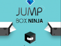 Laro Jump Box Ninja