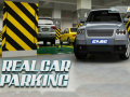 Laro Real Car Parking