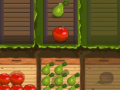 Laro Fruit Gardener