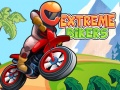 Laro Extreme Bikers