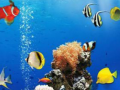 Laro Sea Underwater Difference