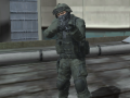 Laro Roof Shootout