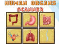 Laro Human Organs Scanner