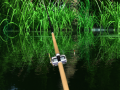 Laro Green Lake 