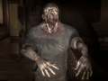 Laro Secret of Harrow Manor