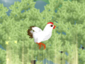 Laro Chickaboom