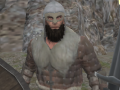 Laro Vikings Aggression
