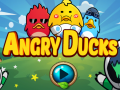 Laro Angry Ducks