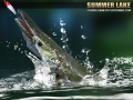 Laro Summer Lake 1.5