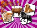 Laro Domestic Animal Memory Challenge