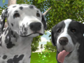 Laro Dog Simulator 3d