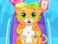 Laro Little Cat Doctor