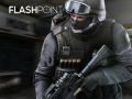 Laro Flashpoint
