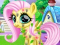 Laro Little Pony Caretaker