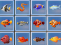 Laro Find The Fish