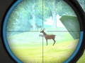 Laro Hunter Training