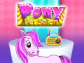 Laro Pony Pet Salon