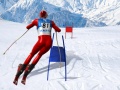 Laro Slalom Ski Simulator