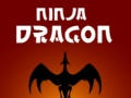 Laro Ninja Dragon