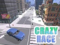 Laro Crazy Race