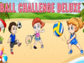 Laro Ball Challenge Deluxe