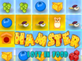 Laro Hamster Lost In Food
