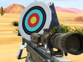 Laro Hit Targets Shooting