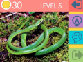 Laro 15 Picture Quiz