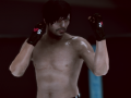 Laro MFS: MMA Fighter
