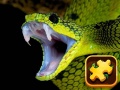 Laro Snake Puzzle Challenge