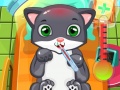 Laro Cat Doctor