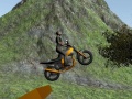 Laro Dirt Bike Rider
