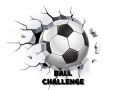 Laro Ball Challenge