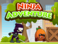 Laro Ninja Adventure