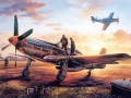Laro Air Combat Puzzle