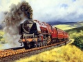 Laro Train Journeys Puzzle
