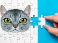Laro Abyssinian Puzzle Challenge