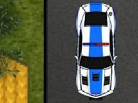 Laro Police car parking 3