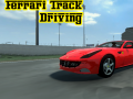 Laro Ferrari Track Driving