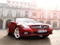 Laro SL Roadster Puzzle