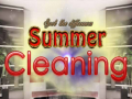 Laro Spot The differences Summer Cleaning