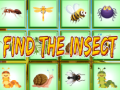 Laro Find The Insect