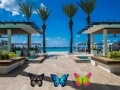 Laro Find 100 butterflies