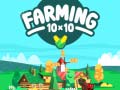 Laro Farming 10x10 
