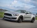 Laro Mustang Shelby Puzzle