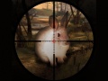 Laro Classical Rabbit Sniper Hunting 2019
