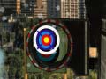 Laro Advanced Tournament Archery