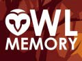 Laro Owl Memory