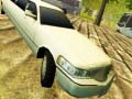 Laro Limousine Driver